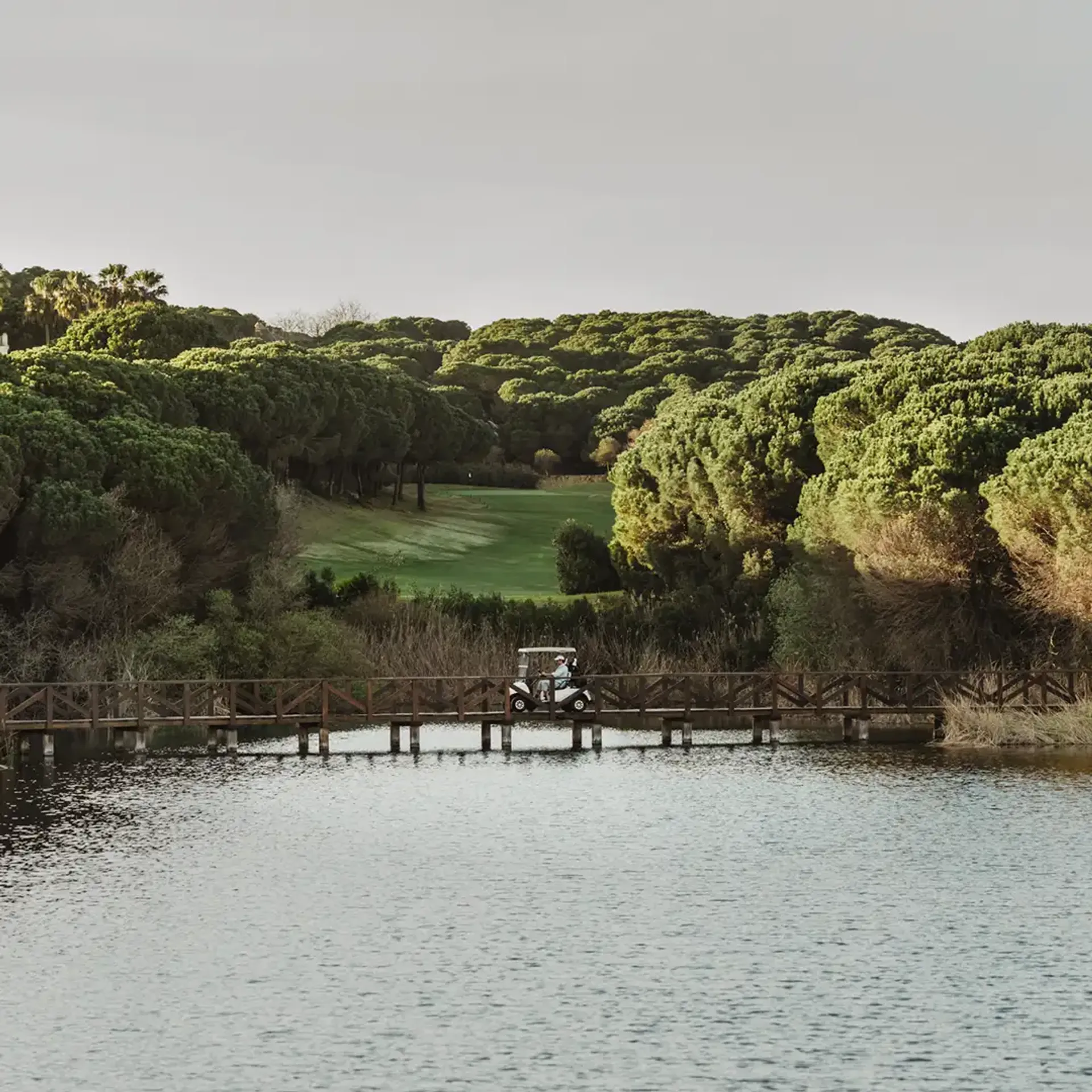 Almenara Golf Sotogrande
