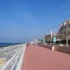 The Palm Boardwalk