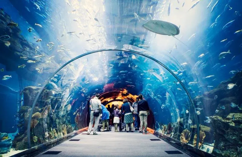 Aquarium, The Dubai Mall, Spojené Arabské Emiráty