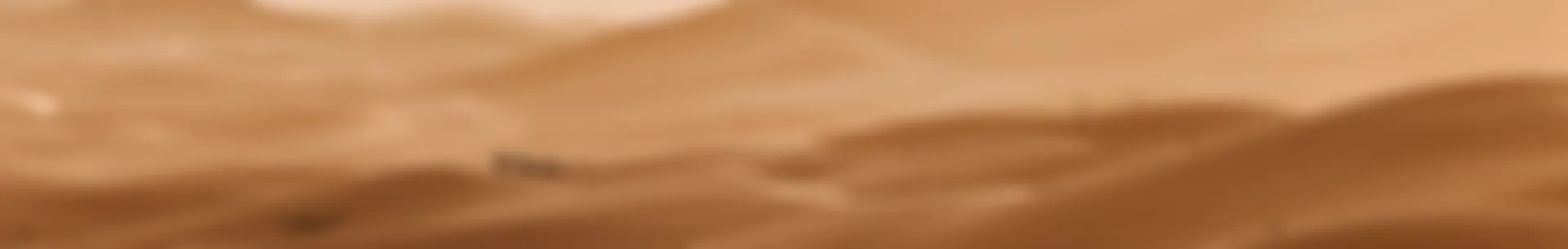 10-08-2026-1786366255-55586693-6036-4fae-90c0-c94d2ae35901.jpg