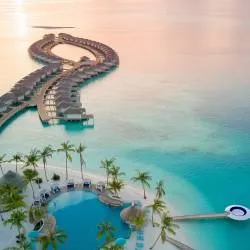 Honeymoon full of exoticism: Maldives or Seychelles? 
