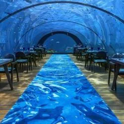 Discover TOP 5 underwater restaurants in the Maldives