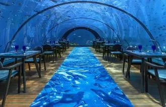 Discover TOP 5 underwater restaurants in the Maldives