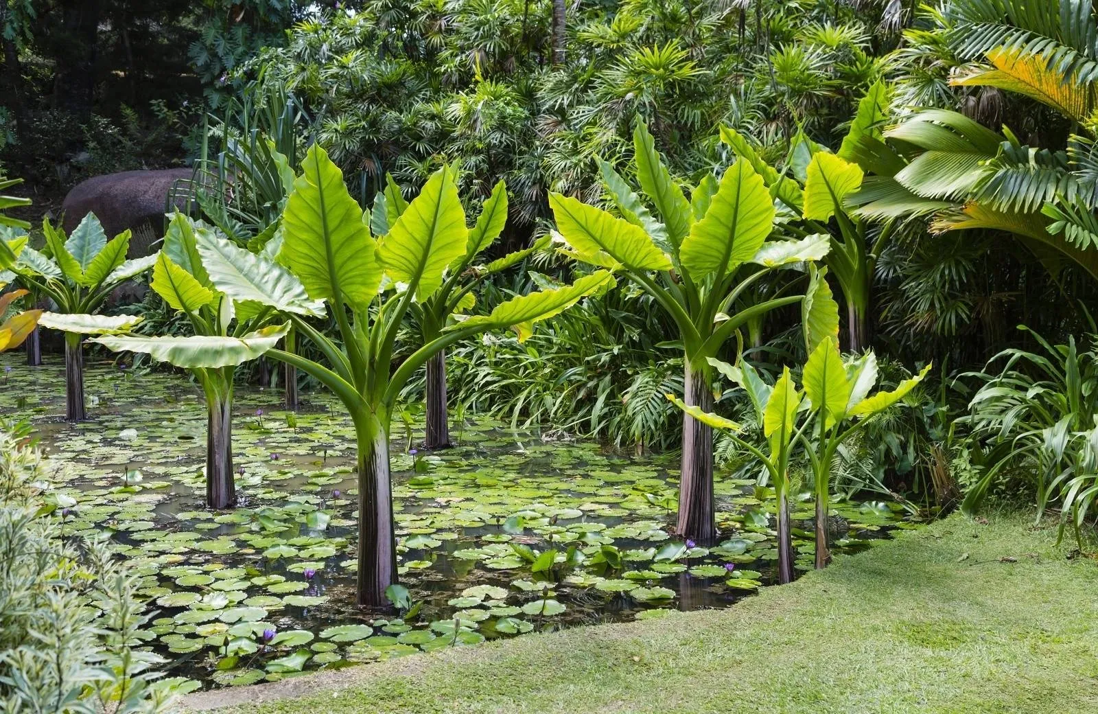 Victoria - poldenný výlet