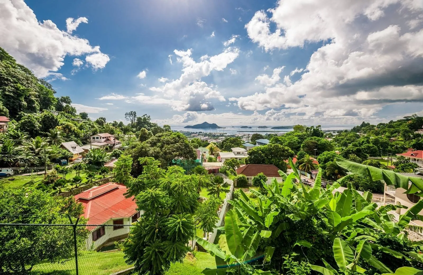 Victoria - poldenný výlet