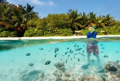 Snorkeling and Diving