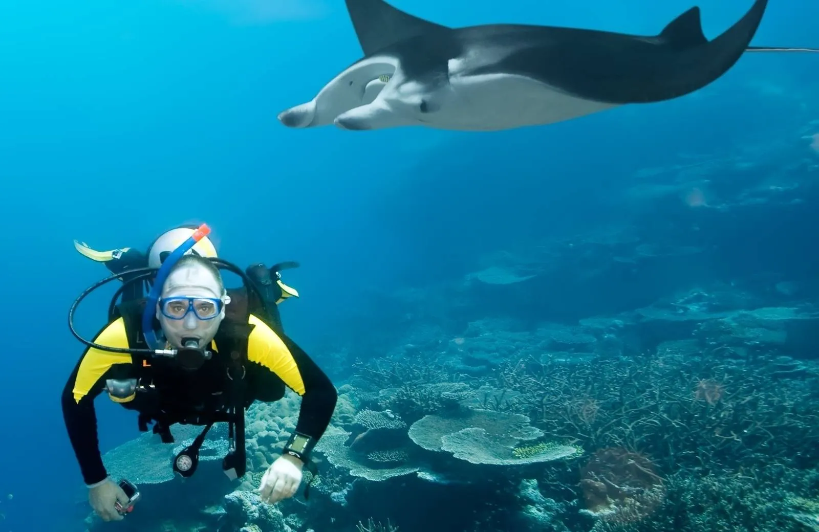 Snorkeling and Diving