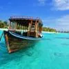 Cruises and Fishing