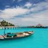 Cruises and Fishing