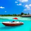 Cruises and Fishing