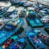 Cruises and Fishing