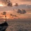 Cruises and Fishing