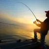 Cruises and Fishing