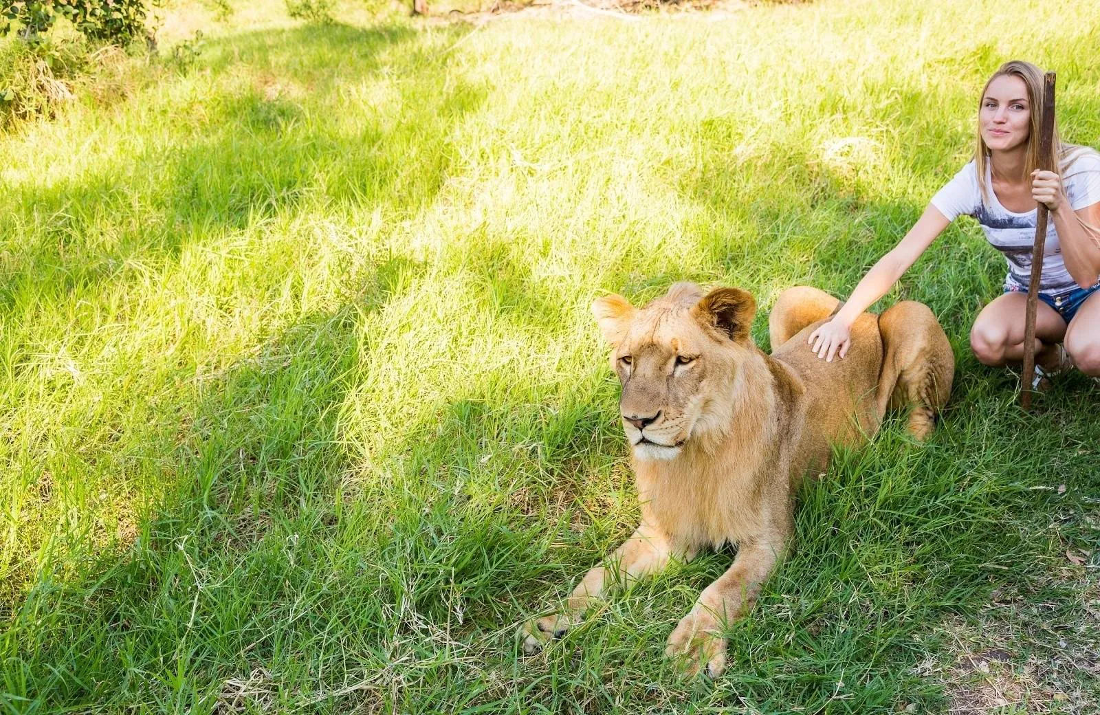 Západný okruh -Farebný Maurícius