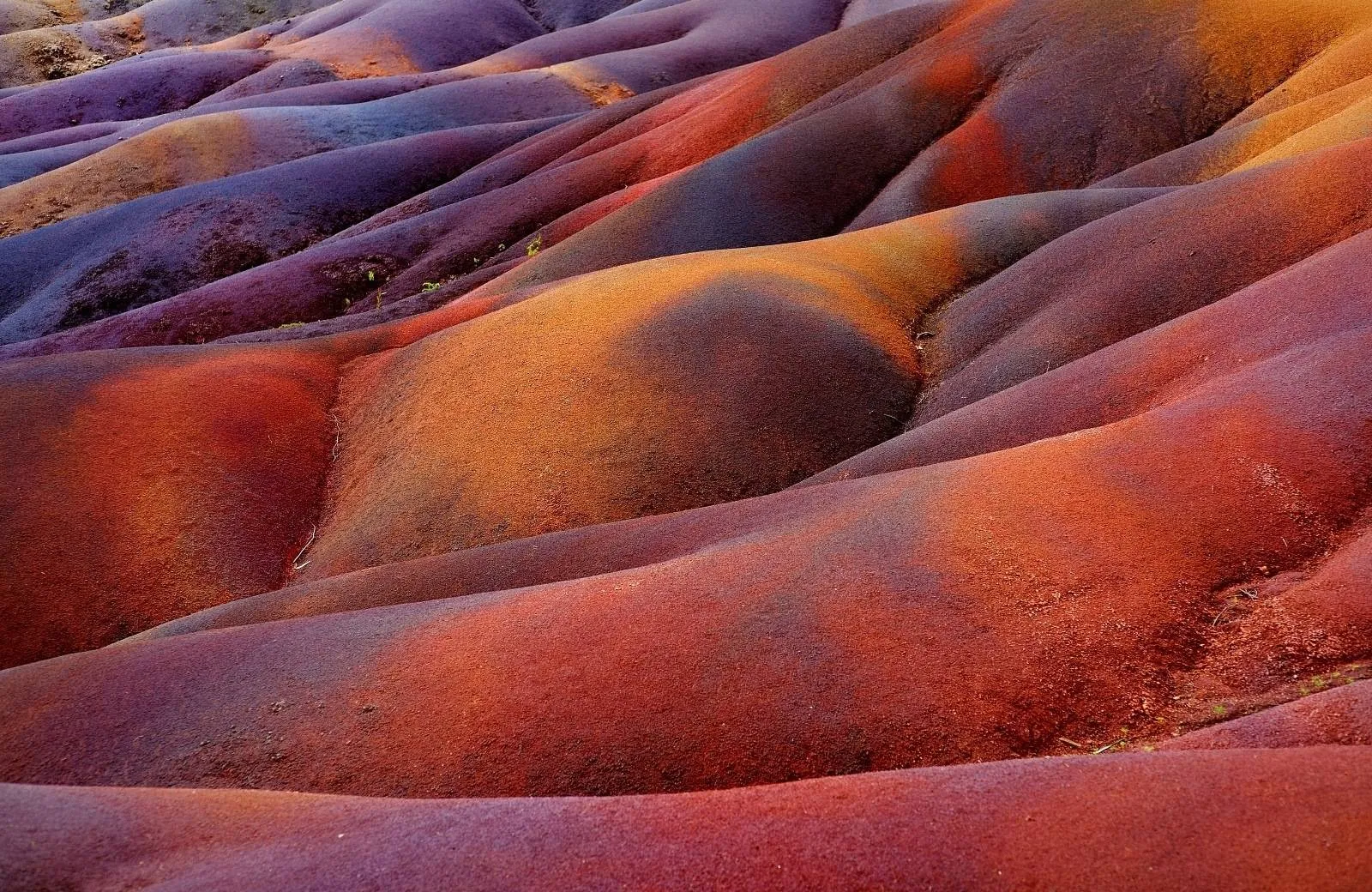 Western Circuit - Colorful Mauritius
