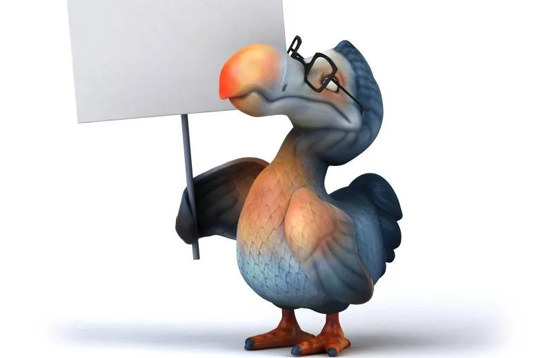 Dodo Quest