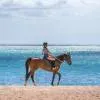 Horse Riding