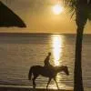Horse Riding