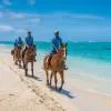 Horse Riding