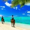 Horse Riding