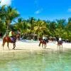 Horse Riding