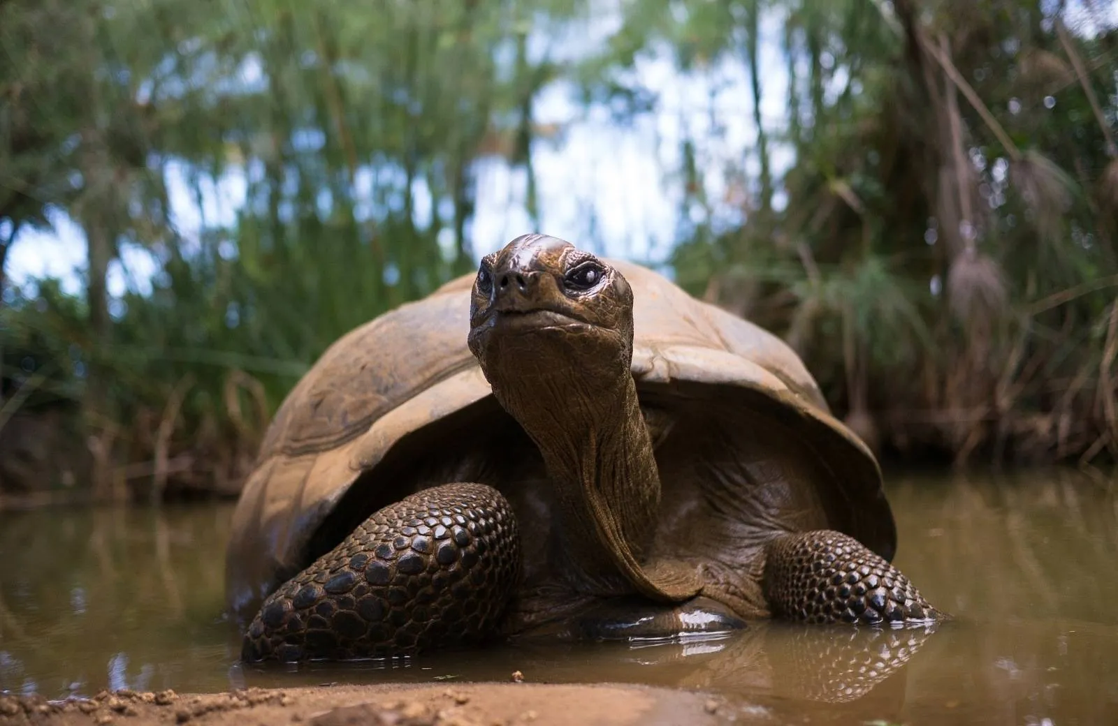 Juhovýchodné pobrežie