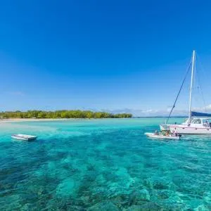 Catamaran Cruises