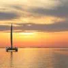 Catamaran Cruises
