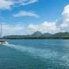 Catamaran Cruises