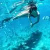 Diving and Snorkeling
