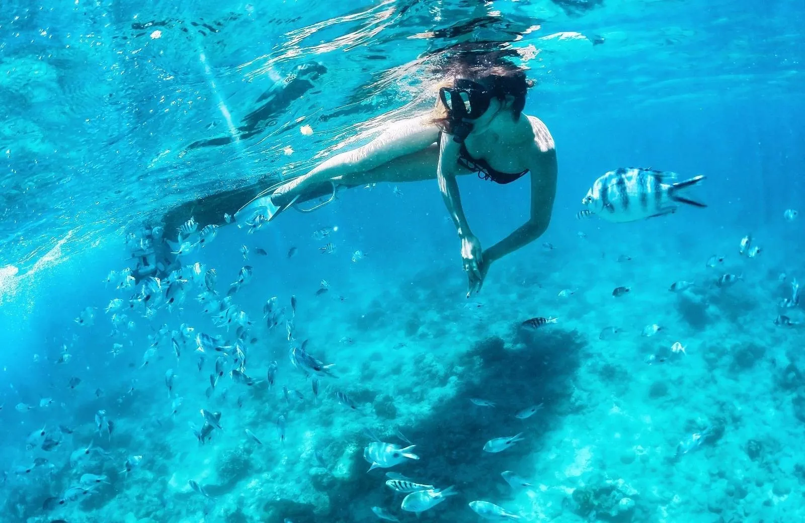 Diving and Snorkeling