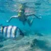 Diving and Snorkeling