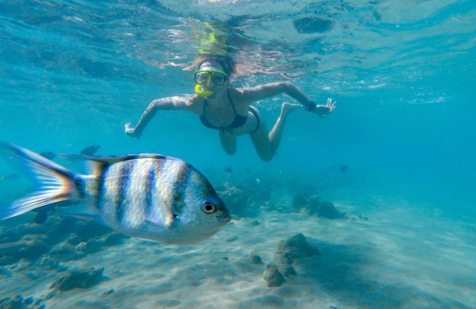 Diving and Snorkeling