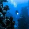 Diving and Snorkeling