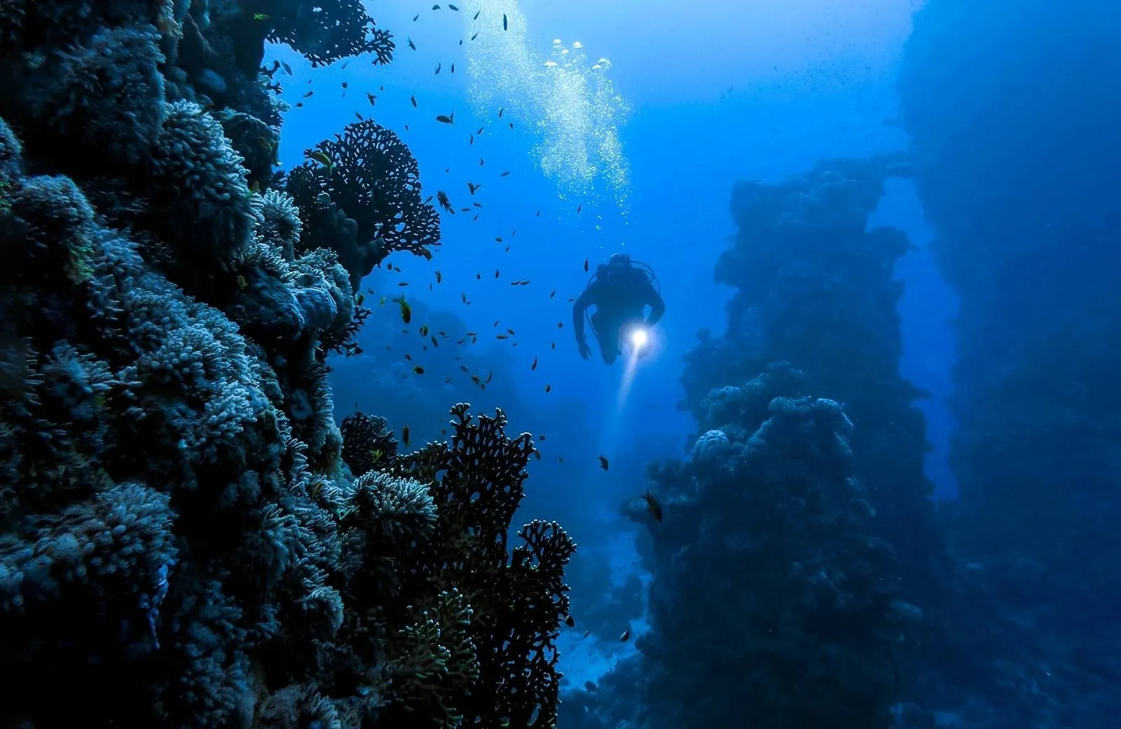 Diving and Snorkeling