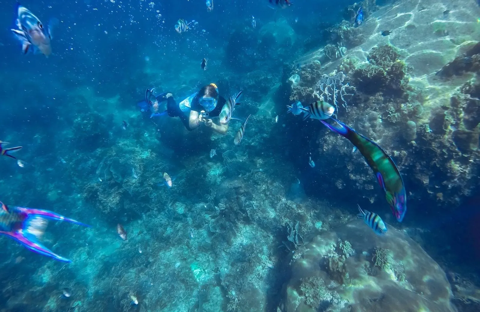 Diving and Snorkeling
