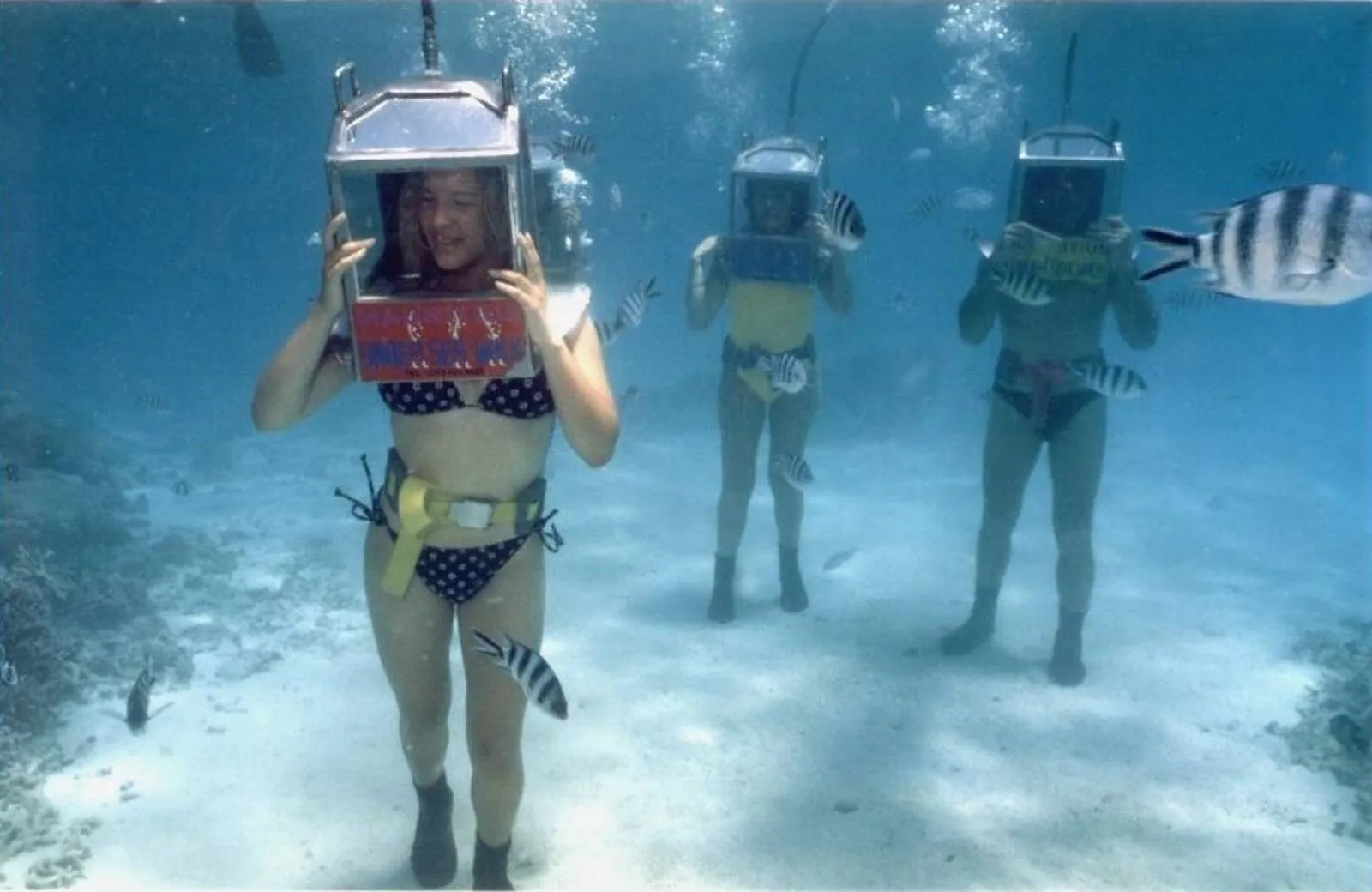 Půldenní adrenalinový výlet