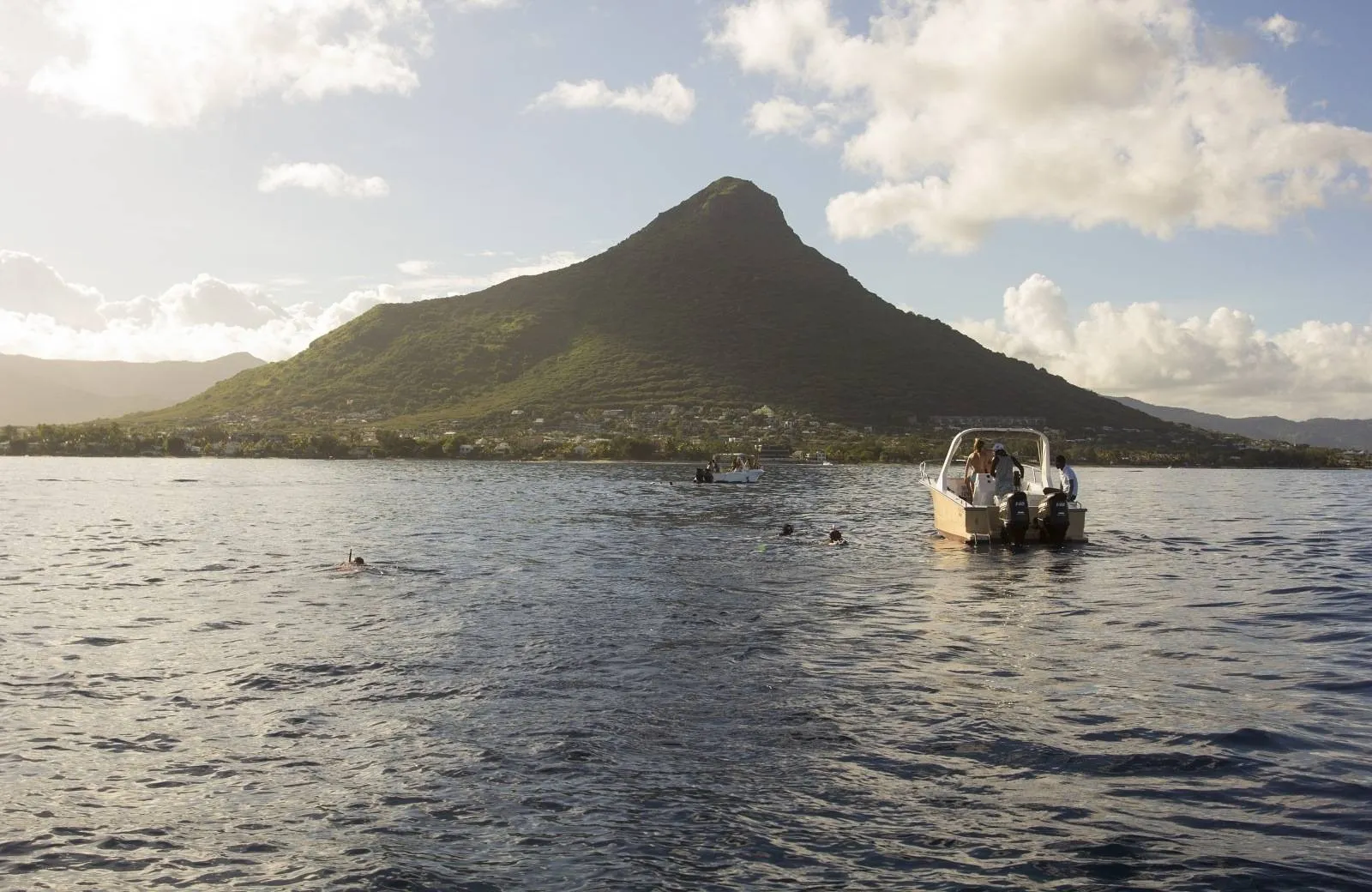 Pozorování delfínů a velryb