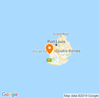 Dolphin and Whale Watching Map