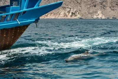 Musandam Cruise