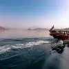 Musandam Cruise