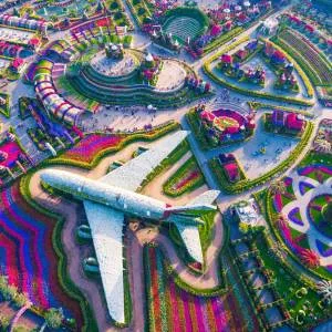 Dubai Miracle Garden