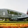 Dubai Miracle Garden