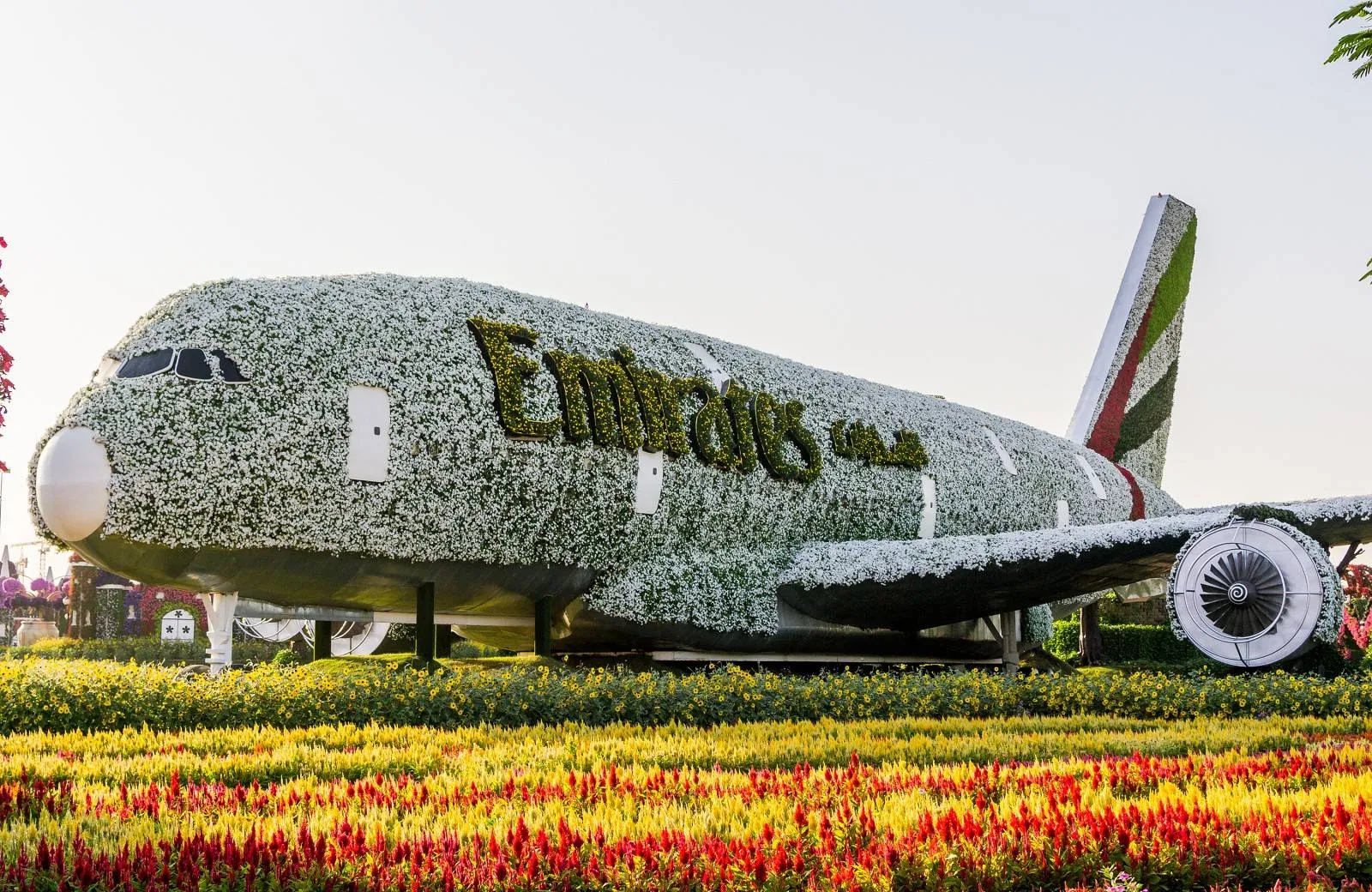 Dubai Miracle Garden