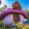 Dubai Miracle Garden