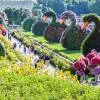 Dubai Miracle Garden