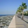 The Palm Boardwalk