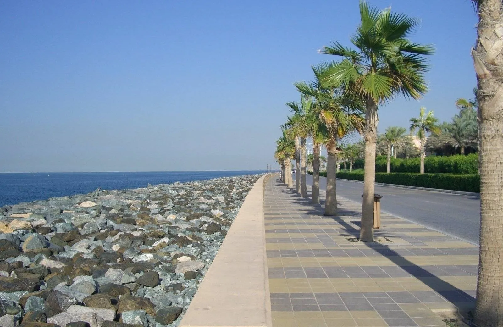 The Palm Boardwalk