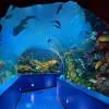 Sharjah Aquarium