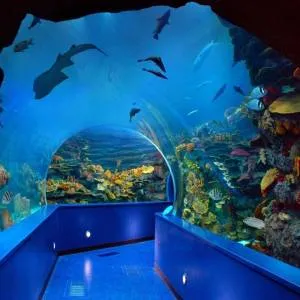 Sharjah Aquarium